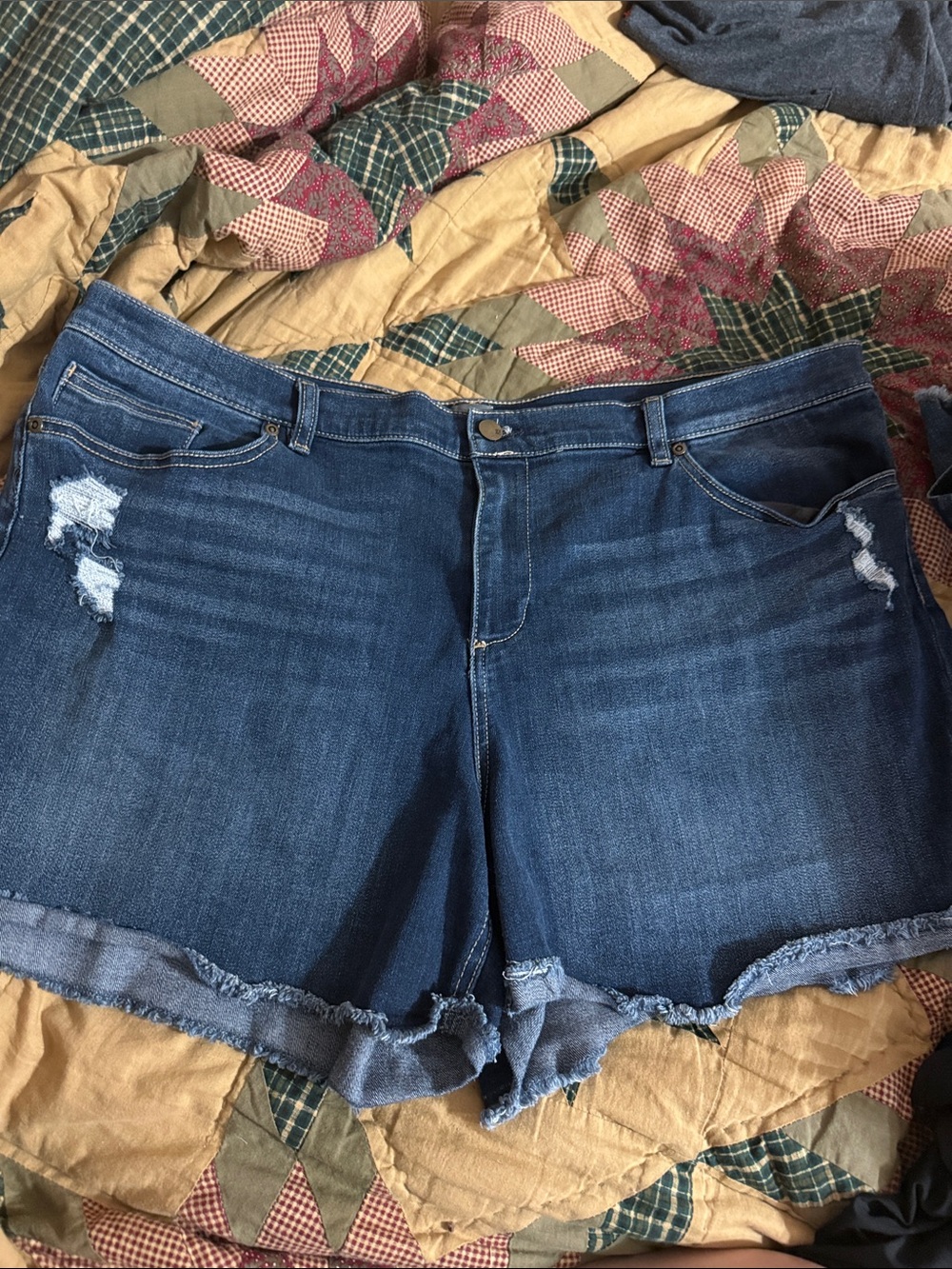 Soho Dark Blue Distressed Denim Cutoff Shorts